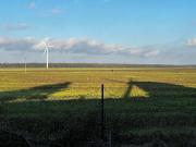 Mühlenurlaub Südheide