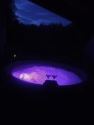 Top Lučany nad Nisou