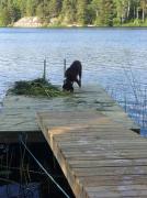 Cozy and Private 3-Bed House with bath Roslagen