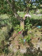 Top Rionero Sannitico