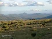 Top Santa María de la Alameda