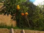 Top Savelletri di Fasano