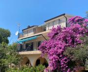 Apartments Lilly Apartments Lilly