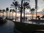 Top Albir