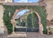 Top Wangen