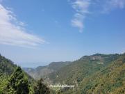 Top Dalhousie