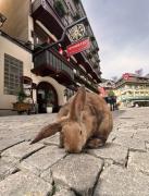 SPANNORT family home with common kitchen and self check-in