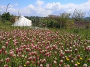 Sous les Toiles de PauTiLou