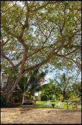 Ivys Cove Beach Side Condo - Luxury Villa