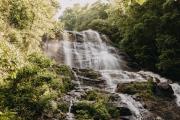 Top Dawsonville