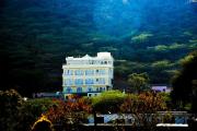 Top Udaipur