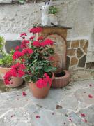 Top Xanthi