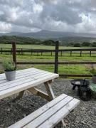 Top Llanelltyd