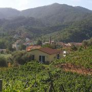 Top Levanto