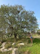 Top Morciano di Leuca