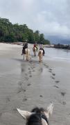 Top Montezuma