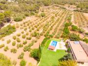 Top Urbanicacion ses palmeres