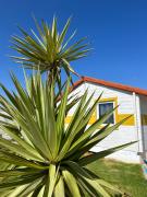 Top El Palmar Top El Palmar