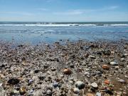 Top Marina di Cerveteri
