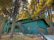 Top Pollock Pines