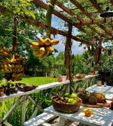 Top Buôn Ma Thuột