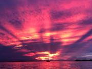 Top Bocas del Toro