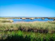 Top El Poblenou del Delta