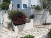 Top Paphos City