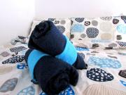 Love 4 Home @ Porta Romana Love 4 Home @ Porta Romana