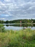 Top Wierzchownia Top Wierzchownia