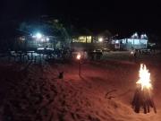 Elegant Green Beach Resort