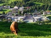 Top Bad Kleinkirchheim