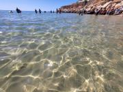 Lemon House Lemon House