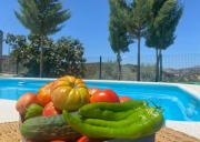 Top Fuentes de Cesna