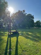 Top Lomnice nad Lužnicí