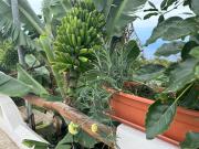 Casa Rural Los Barros