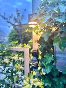 Top Benešov nad Ploučnicí Top Benešov nad Ploučnicí