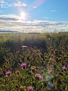 Abhaig Boutique B&B - Small & luxurious in a great location!