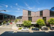 Top Bellevue
