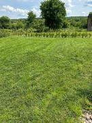 Top Krasno Gradishte Top Krasno Gradishte