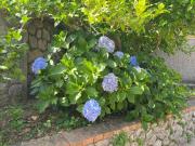Top Anacapri
