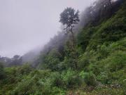Top Mussoorie
