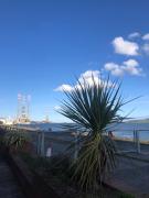 Top Dundee