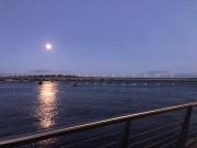 Top Dundee