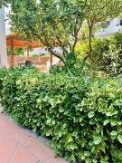 Top Marina di Cerveteri