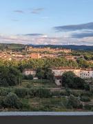 Top Carcassonne