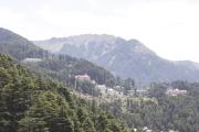 Top Patnitop