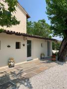 Top Montebelluna Top Montebelluna