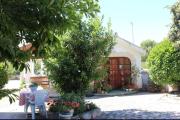 Apartments and rooms by the sea Brodarica - Sibenik - 21536