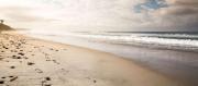 Top Carlsbad